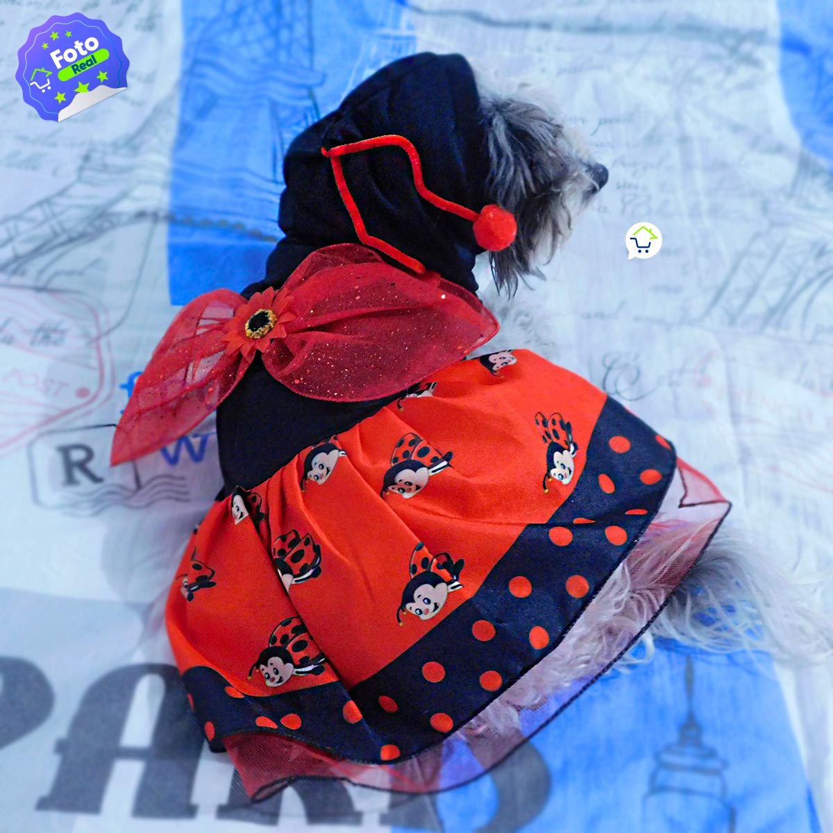 Disfraz Para Mascota De Mariquita GD01M2