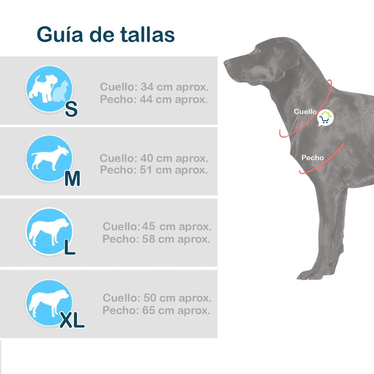 Disfraz Para Mascota De Mariquita GD01M2