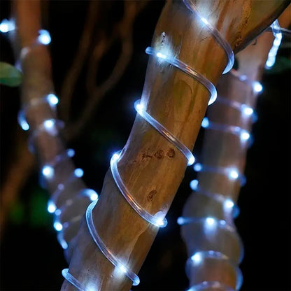 Manguera 20 Metros 360LED Navidad 2412