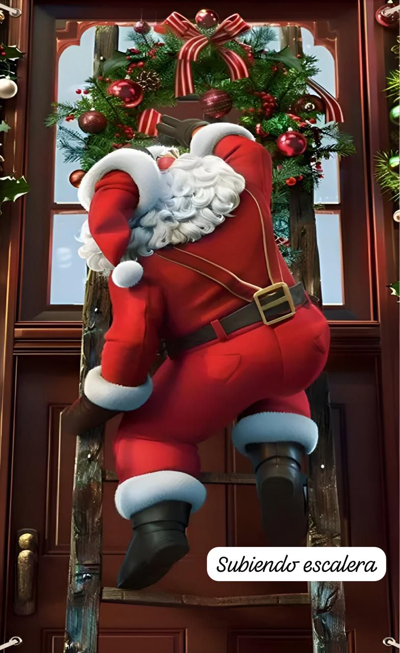 Fundas Navideñas Para Puerta