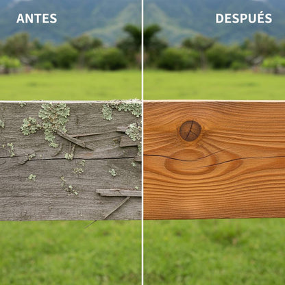 Cera Para el Piso 1 LT + APLICADOR