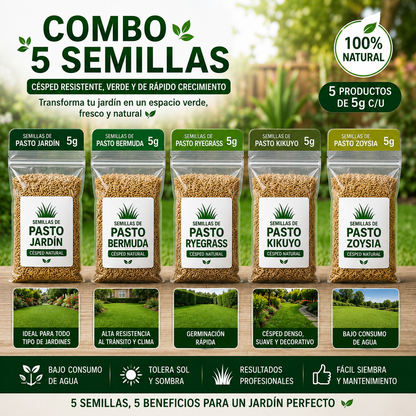Semillas Césped Pasto Cancha Futbol 5g