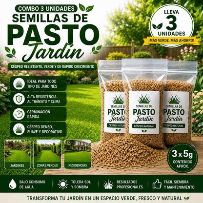 Semillas Césped Pasto Cancha Futbol 5g